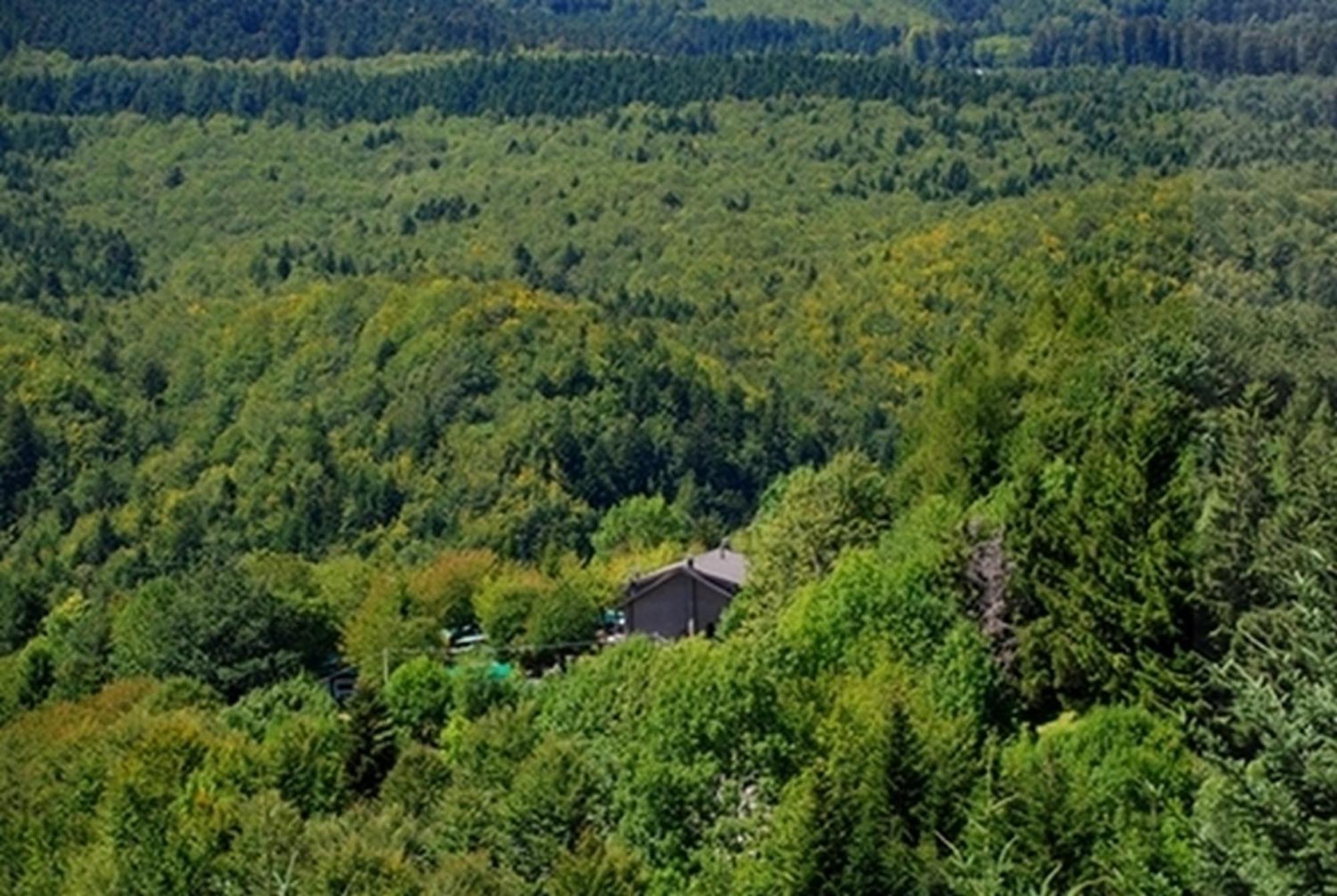 B&B Bucaneve Abetone Exterior photo